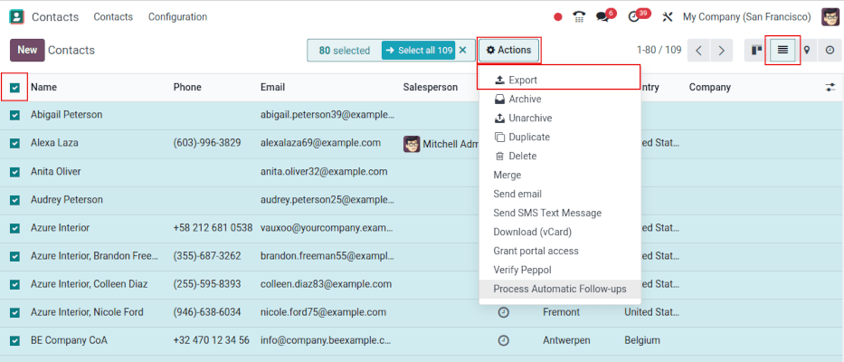 Selecting records and opening the Export action.