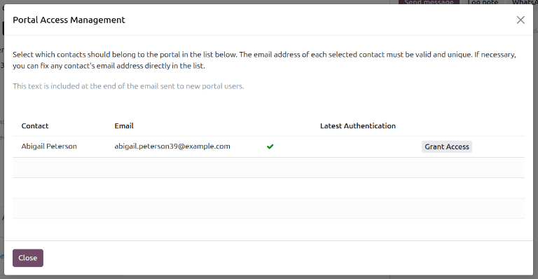 The Portal Access Management window.
